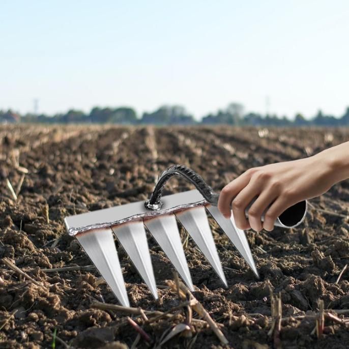 Carbon Steel Garden Weeding